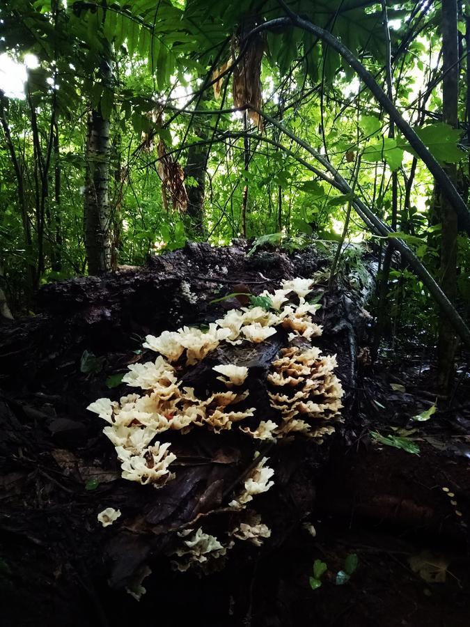 Posada Camboata Аристобуло-дель-Валье Экстерьер фото