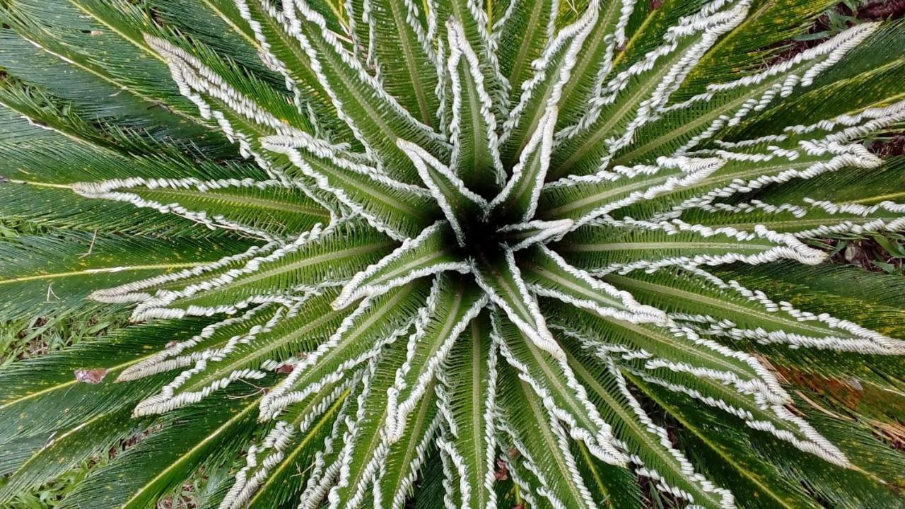Posada Camboata Аристобуло-дель-Валье Экстерьер фото